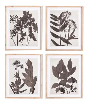 Pressed Foliage Prints - Set of 4