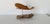 1980s Vintage Hand-Carved Wood Whale Sculpture For Sale - Image 10 of 11