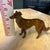 Bronze Vintage Bronze Metal Dog Figurine Borzoi Saluki Greyhound Statue 4 Inch For Sale - Image 8 of 9