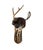 Native American Late 20th Century Shaman Mask Plaster With Antler Vintage Southwestern Walk Mount Decor For Sale - Image 3 of 5