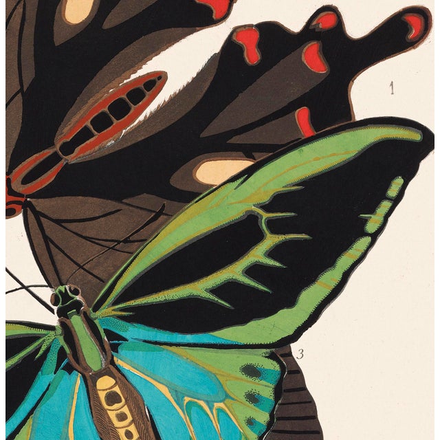 Art Deco Papillons (Butterflies) Plate 1 Giclee Reproduction Art Print by Emile Allain Séguy For Sale - Image 3 of 4