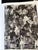 Paper Jasper Johns: Gray For Sale - Image 7 of 8