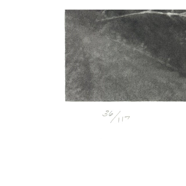 Vija Celmins Spider Web, 2009 - Signed For Sale - Image 4 of 4