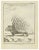 Porcupine is an etching realized by Jacques Baron in 1771. It belongs to the suite "Histoire Naturelle de Buffon". The...