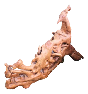 Rustic Bird Like Natural Tree Root Sculpture