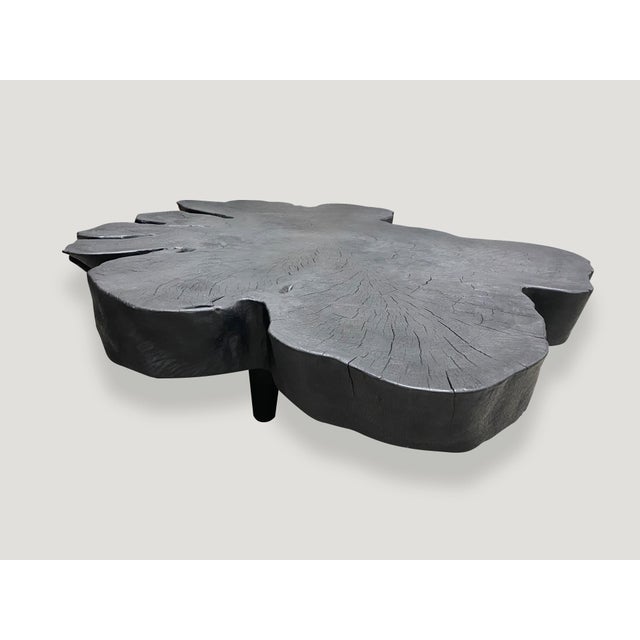 Andrianna Shamaris Biomorphic Sculptural Charred Mango Wood Coffee Table For Sale - Image 14 of 18