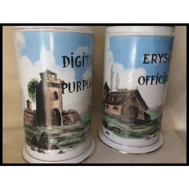 A pair of Antique Medical, Apothecary or Drug Store Jars. The Jars are made of porcelain and are hand painted with...