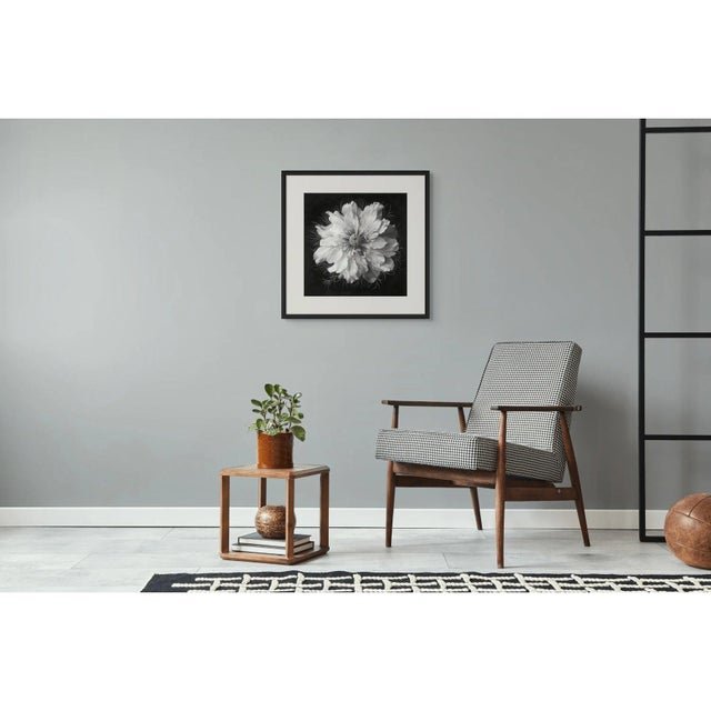 2020s 20" X 20" - 'Nigella Damascena Flower' - Black and White Botanical Photography Print For Sale - Image 5 of 5