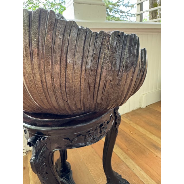 Early 19th Century Antique Venetian Grotto Carved Shell Chair For Sale In New York - Image 6 of 11