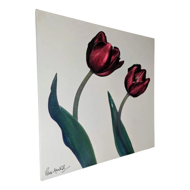 Peter Arnold, Tulip, 2000s, Canvas Painting For Sale