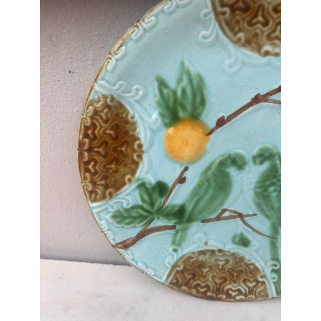 French Majolica Parakeets Plate Salins, Circa 1890 For Sale - Image 3 of 4
