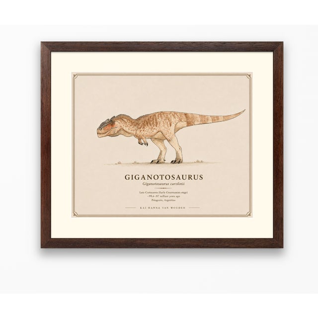 Atelier Aria Lumae Kai Hanna Van Wouden Giganotosaurus Carolinii Original Scientific Watercolor Fine Art Cotton Rag Gallery Board Print 20 X 16 For Sale - Image 12 of 15