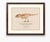 Atelier Aria Lumae Kai Hanna Van Wouden Giganotosaurus Carolinii Original Scientific Watercolor Fine Art Cotton Rag Gallery Board Print 20 X 16 For Sale - Image 12 of 15