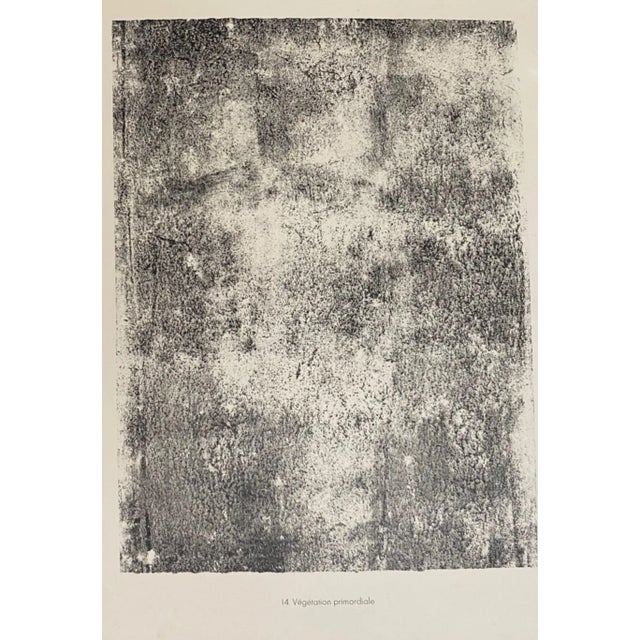 Vegetation Primordiale is an original B/W lithograph on watermarked paper ''Arc''. Abstract composition by the French...