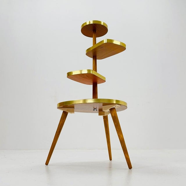 Mid-Century Minimalist Plant Stand, Germany, 1950s For Sale - Image 9 of 11