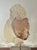 An exceptional 1980s hyperrealist lucite bust sculpture by renowned American artist Marc Sijan, celebrated for his...