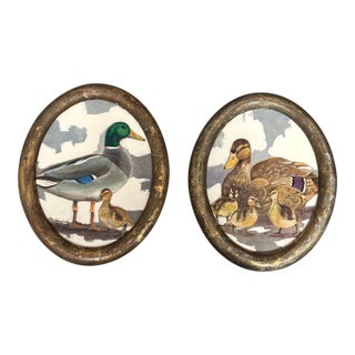 Contemporary Two Original Stephen Heigh Paintings in 19th Century Frames “Father Mallard” and “Mother Duck & Ducklings” - Set of Two For Sale