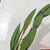 1960s Mid-Century Modern Italian Enamelled Metal Primary School Sign, 1960s For Sale - Image 5 of 15