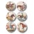 Illustration Equine Side Plates, Set of 6 For Sale - Image 3 of 10