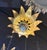Metal 1940s French Gilt Metal Sunburst Flush Mount Light Fixture For Sale - Image 7 of 7
