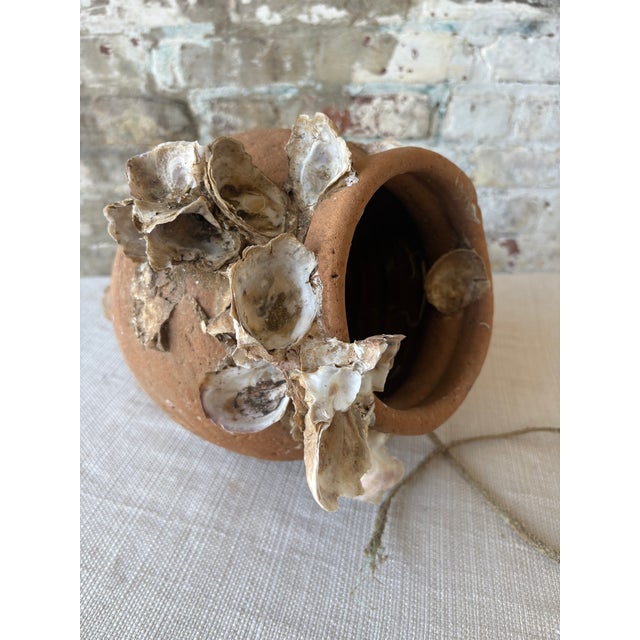 Antique Mediterranean Terracotta Octopus Trap With Oyster Growth – Authentic Fisherman’s Pot For Sale - Image 4 of 14