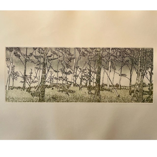 Paper Ruth Leaf "Ballet for 26 Trees" Etching 29x22 Studio Print BFK Rives Paper Art For Sale - Image 7 of 7