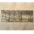 Paper Ruth Leaf "Ballet for 26 Trees" Etching 29x22 Studio Print BFK Rives Paper Art For Sale - Image 7 of 7