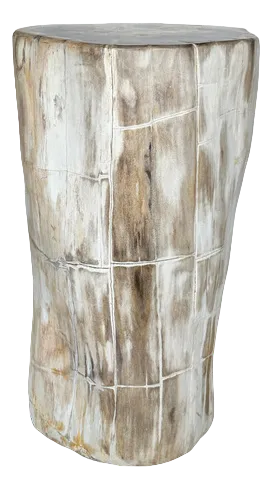 Large Side Table in Organic Petrified Wood with White Bark & Black Crescent Heart
