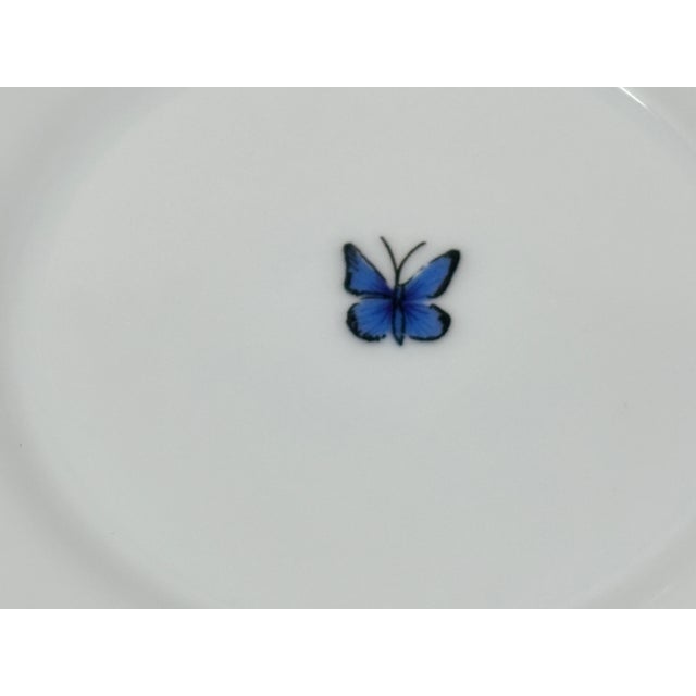 Ceramic Lynn Chase Jaguar Jungle Porcelain Cup and Saucer With Gold Trim For Sale - Image 7 of 16