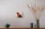 We Contain Multitudes by Ken Cunningham | Oil on cradled panel Woman holding an apple near her neck. For Sale - Image 4 of 5