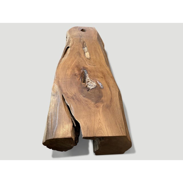 2010s Andrianna Shamaris Monumental Organic Teak Wood Coffee Table or Bench For Sale - Image 5 of 18