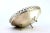Silver Candy Box with Wire Rack Rim and Horses Feet-Shaped Feet For Sale - Image 4 of 8