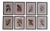 Late 19th Century Antique Botanicals Series - Set of 8 For Sale