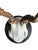 Roe Deer Trophy 209 Black Forest Antlers Mount For Sale - Image 4 of 5