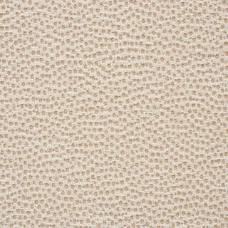 Schumacher Stingray Fabric in Champagne For Sale