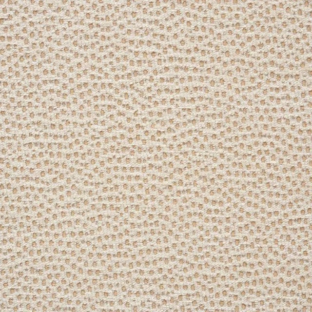 Schumacher Stingray Fabric in Champagne For Sale