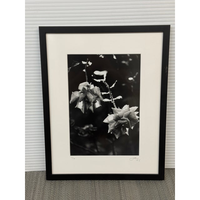 Design Plus Gallery presents a Limited-Edition Black & White Photograph titled Dozen Roses XI by photographer Jess...