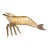 Mid-Century Solid Brass Prawn c.1960 For Sale