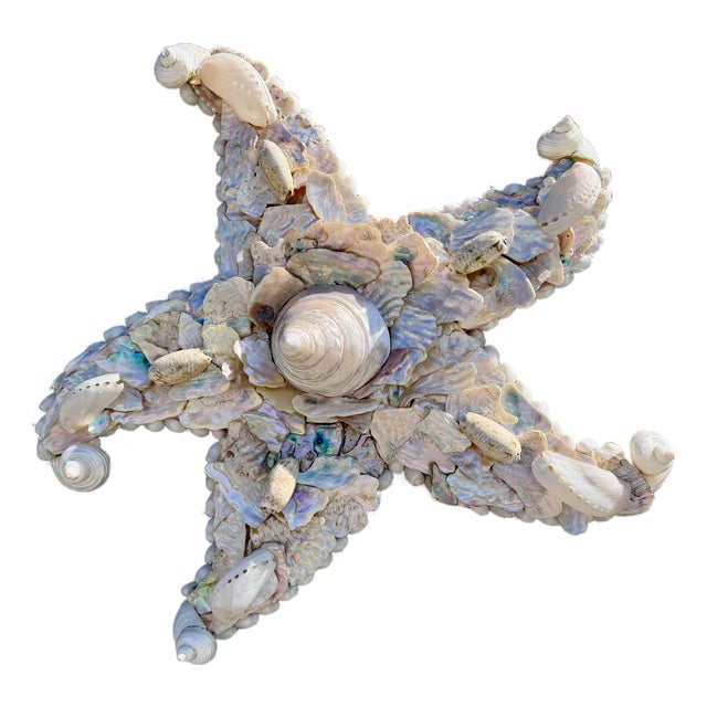 CSS Seashell Dancing Starfish For Sale
