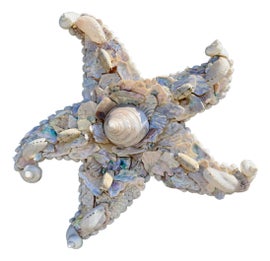 Example of Christa's South Seashells Decorative Objects