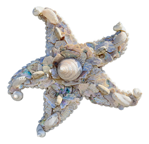CSS Seashell Dancing Starfish
