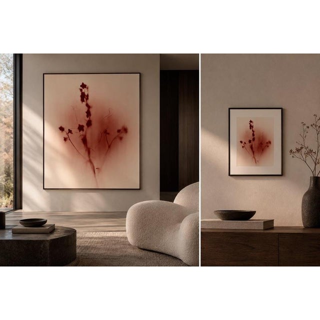 A botanical form appears as both presence and disappearance, its outline softened, interrupted and partially absorbed into...