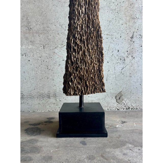 Vintage Coastal Oyster Worn Cedar Poles on Black Bases, Pair For Sale In Miami - Image 6 of 7