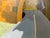 "Happy Animals" Painting of Wildlife Crossing by LWren Walraven For Sale - Image 14 of 14