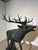 Vintage Bronze Stag Sculpture For Sale - Image 4 of 9
