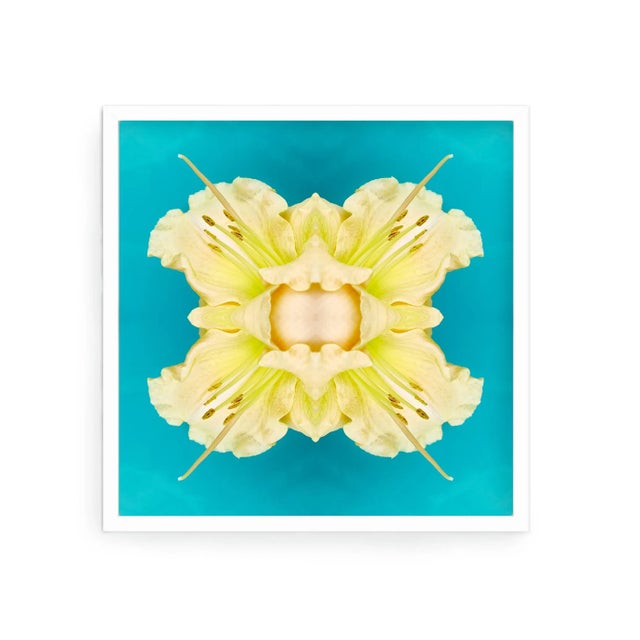 This print features the playful relationship between natural forms and botanicals. In this image Erin uses the natural...