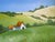 Sonoma Barns Lynne French 16x20 California Landscape O/C For Sale In Orlando - Image 6 of 6