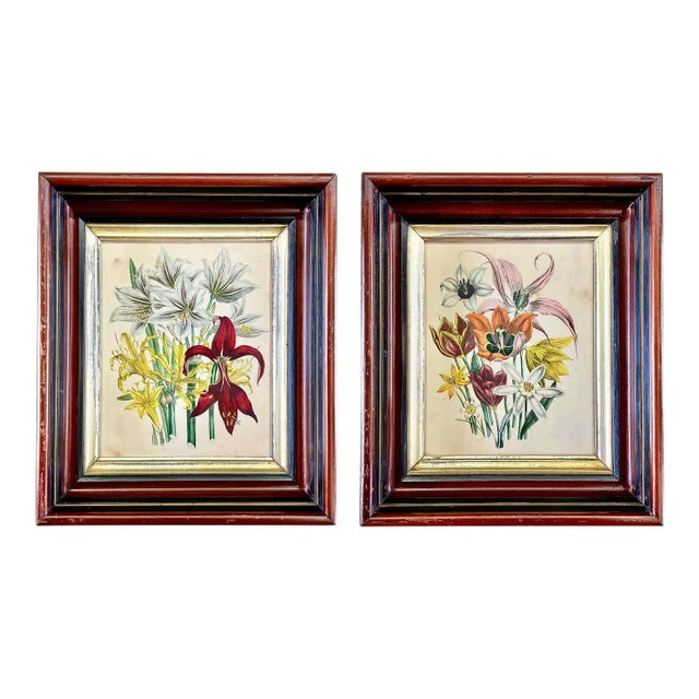 1840s Hand-Colored Botanical Lithographs by Jane Loudon in Fine 19th Century Shadow Box Frames - a Pair For Sale