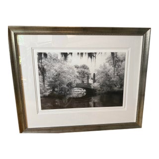 Original Framed Photograph For Sale