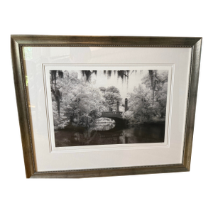 Original Framed Photograph